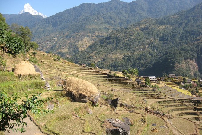Private Multi Day Nepal Poon Hill Trekking Tour - Day 1: Kathmandu to Pokhara, Then You’re Set for Trek Mode