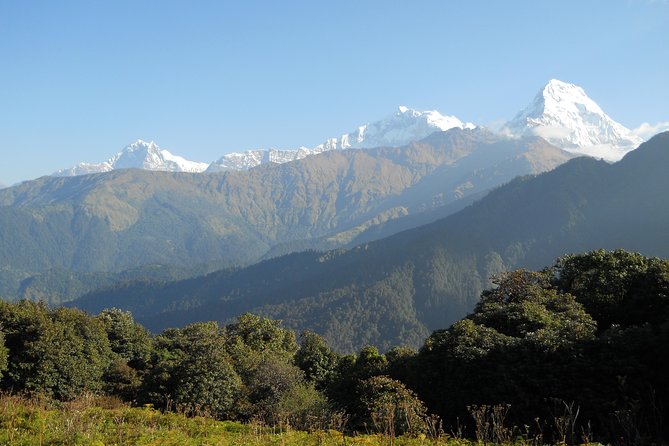 Private Multi Day Nepal Poon Hill Trekking Tour - Day 4 Detail That Helps: Ulleri Steps and the Old Salt Route Feel