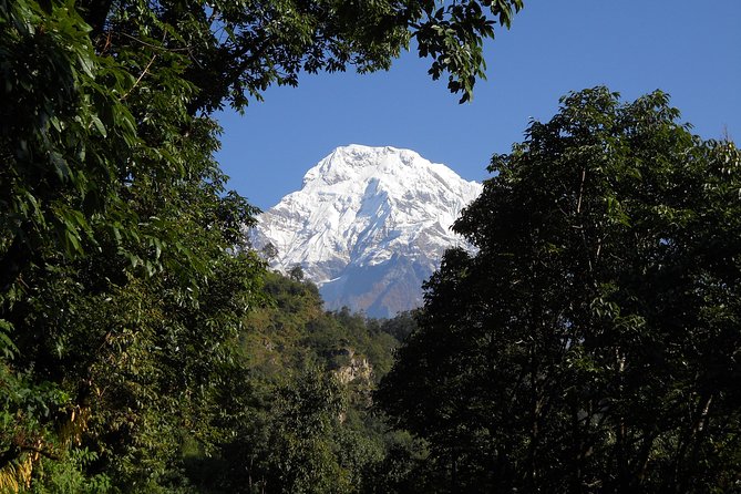Private Multi Day Nepal Poon Hill Trekking Tour - Day 5: Ghandruk to Pokhara via Birethanti, Ending With Warm-Air Comfort