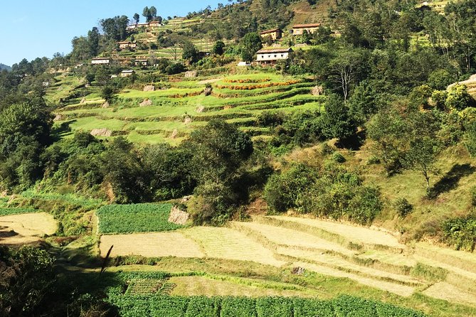 Ranikot Village Hiking in Kathmandu - Ranikot: forested hills, village lanes, and possible Himalaya views