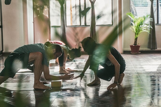 Regular Yoga for all levels of practitioners in Kathmandu - A vinyasa session designed for all levels, not just the flexible ones