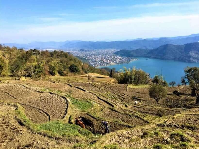 Seti George and Thrilling Suspension Bridge Tour at Pokhara - Price and value: why $13 can still make sense here