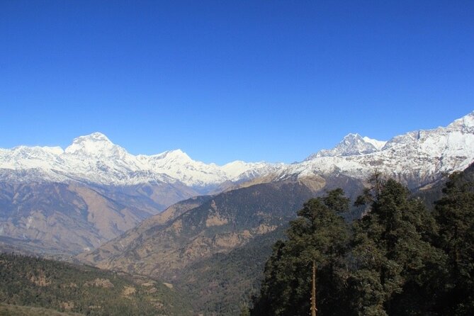 Short Annapurna Base Camp Trek - 7 Days - Guides and porters: the real difference between a hard trek and an enjoyable one