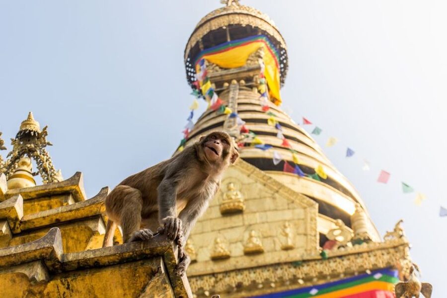 Spiritual Nepal: Expert insight into Multifaith Journey - Aarati at the Bagmati: Lights, Rhythm, and Why This Part Sticks