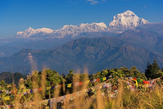 The Best of Nepal : 5-Day Trek to Ghorepani Poon Hill & Ghandruk - Ulleri to Ghorepani Area: A Walk Through Villages and Working Farms