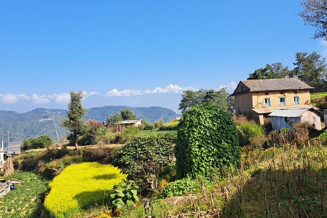 The Most Beautiful 1 Day Experience in Kathmandu Nepal - The guide and transport: what makes it feel premium