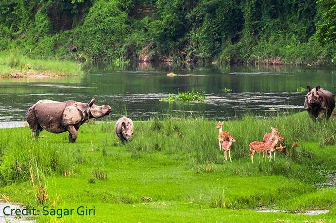 Transport Cover Nepal - A transport-and-guide plan that connects Nepal’s big moments