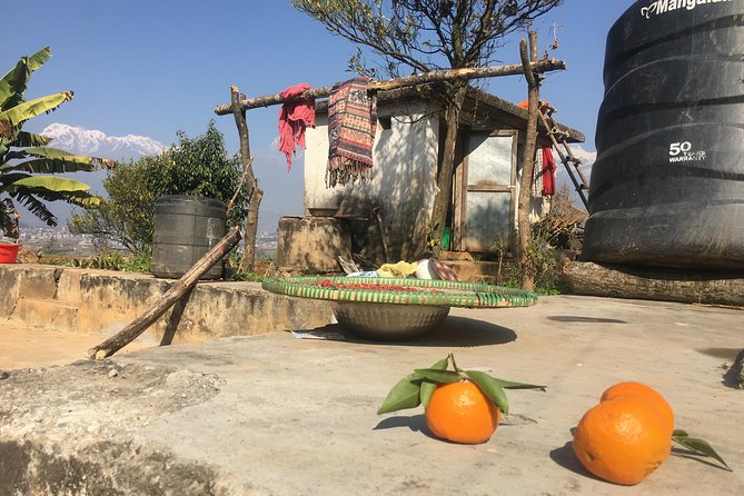 Unique Easy Hiking to Foxing Hill from Pokhara - The rural house lunch, where the value really shows