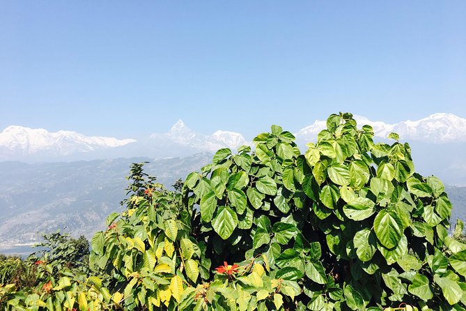 World Peace Stupa Day Hike From Pokhara - Reaching the Stupa: Why the View Hits So Hard at 1100m
